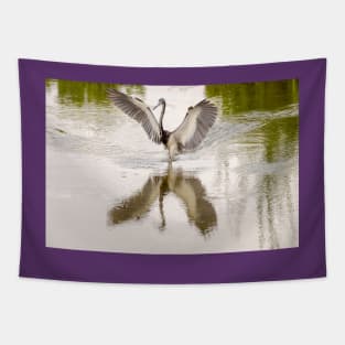 Tricolored Heron Angel Wings Tapestry