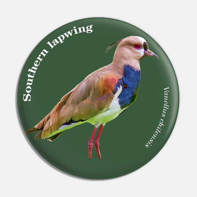 Southern lapwing tropical bird pin white text Pin by Ornamentum