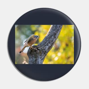 Autumn Kestrel Pin