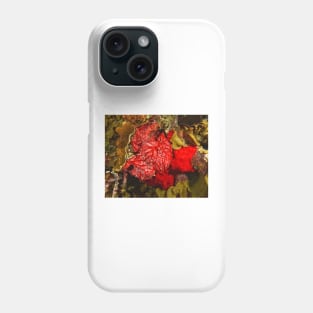 Red Coral Sponge Phone Case