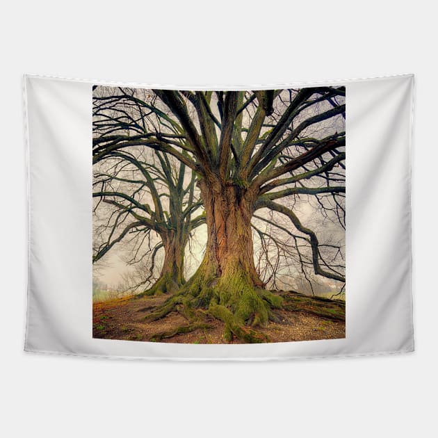 Tree Design Neck Gator Big Trees Tree Tapestry by DANPUBLIC