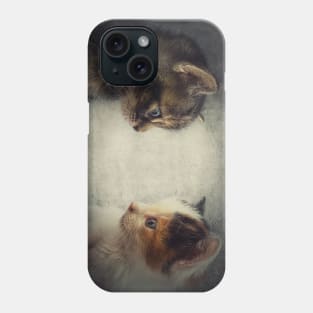 two kittens Phone Case