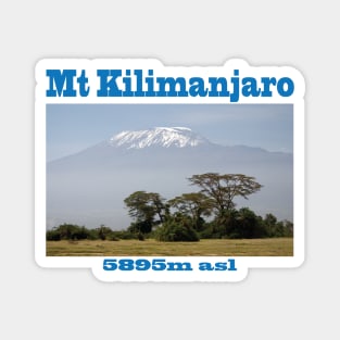 Mt Kilimanjaro Magnet