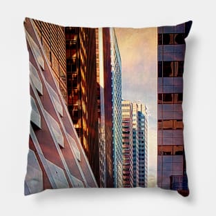 The Elevated Acre Pillow