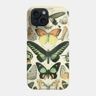 Adolphe Millot Arthropodes Insects papillons Chart Illustration Butterflies Phone Case