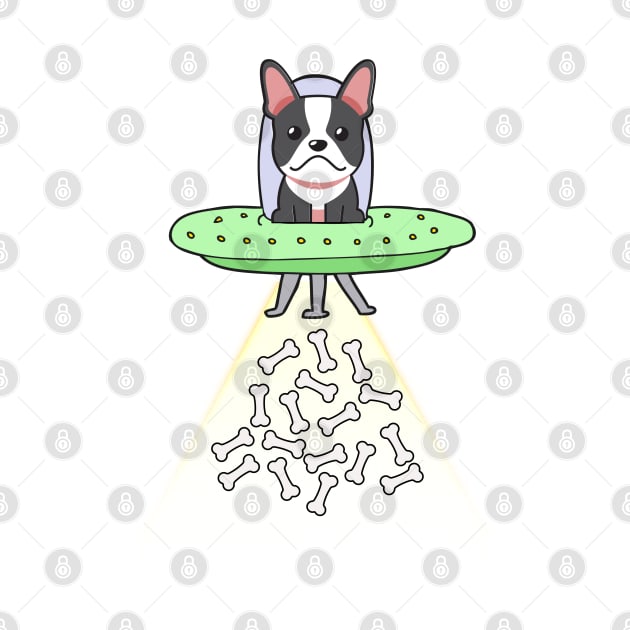 Funny french bulldog is flying a ufo by Pet Station