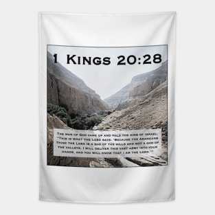 1 Kings 20:28 Tapestry