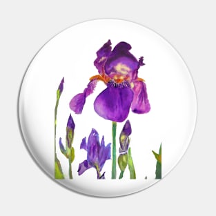 Iris Watercolour Painting Dark Purple Pin