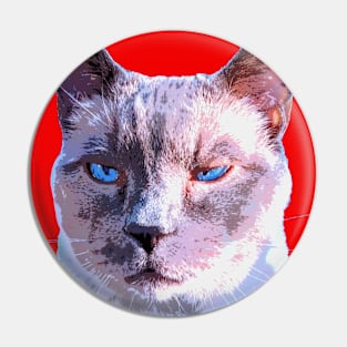 siamese cat Pin