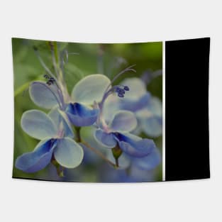 Unique Blue Flower with green leaves nature lovers beautiful photography design Tapestry