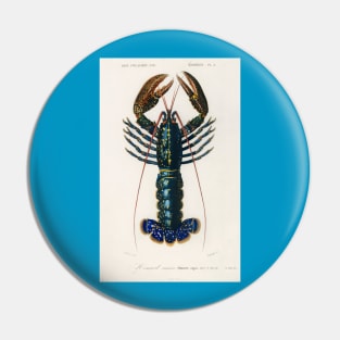 Crimson Crawfish Pin