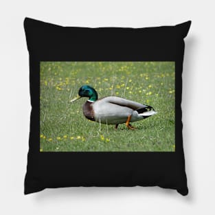 Do I Look Like A Sitting Duck? Pillow