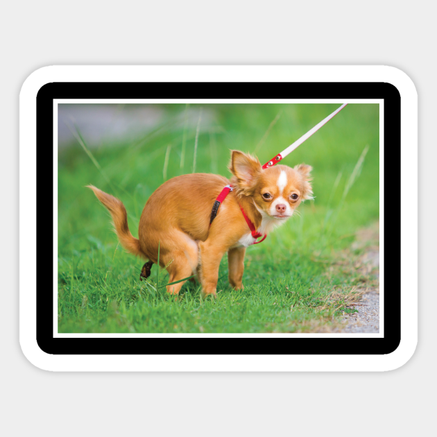 gag gifts for dog lovers