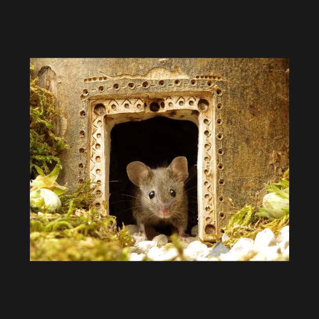 George the mouse in a log pile house by Simon-dell