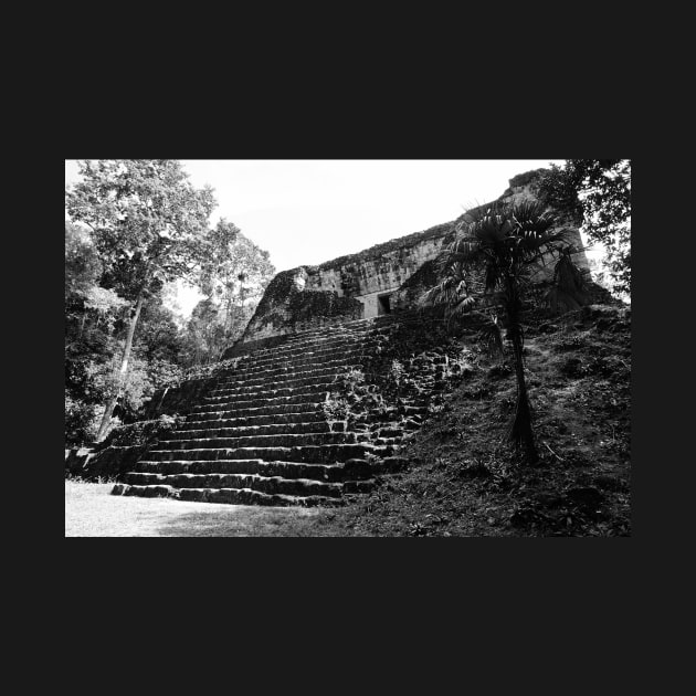 Guatemala - site archéologique de Tikal by franck380