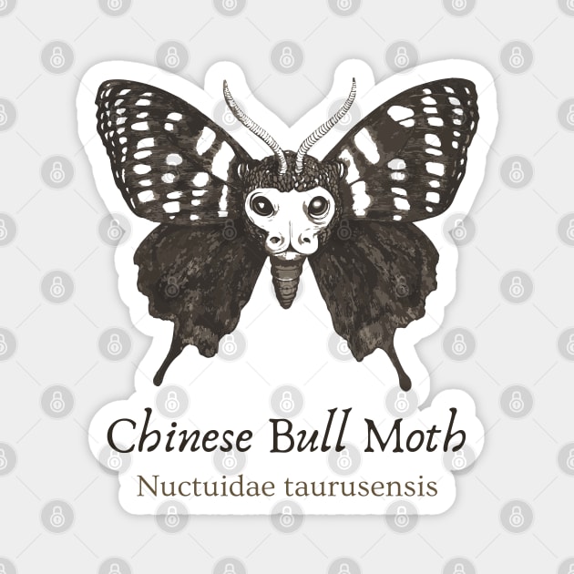 Cryptozoology - Chinese Bull Moth - Retro Fun Magnet by TuncGK