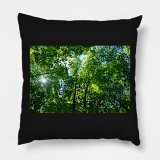 Canopy Pillow