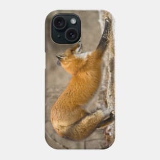 Stretching Phone Case