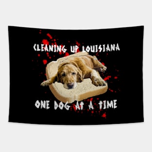 Cleaning Up Louisiana Tapestry