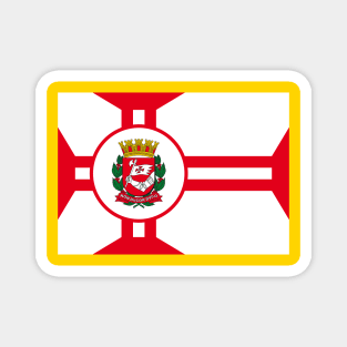 Flag of Sao Paulo Brazil Magnet