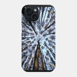 Looking up (Trees) Phone Case