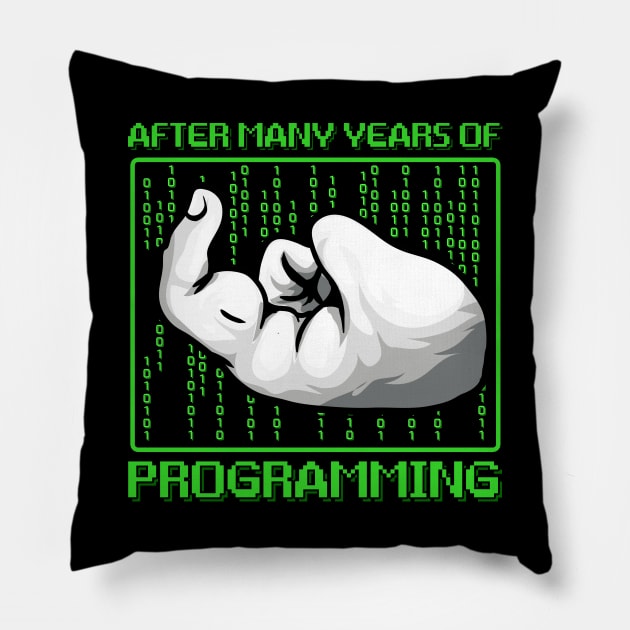 After Many Years Of Programming Funny Computer Programmer Pillow by Proficient Tees