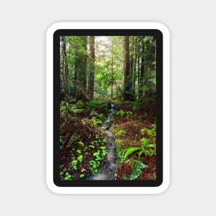 Forest Waterfall Magnet