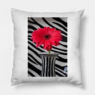 Red Mum In Striped Vase Pillow