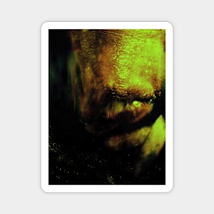 Portrait, digital collage, special processing. Weird. Alien mouth. Green and yellow. Magnet