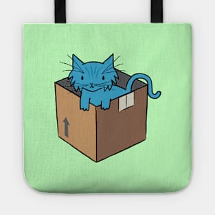 Binky's Box Tote