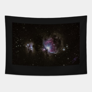 The Orion Nebula Tapestry