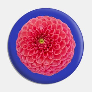 Red Dahlia Flower Pin