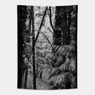 snowy Oregon forest 3 Tapestry