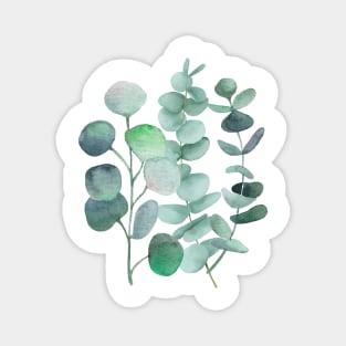 Watercolor, eucalyptus, leaves, botanical, painting, green Magnet
