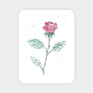 Flower rose. Summer. Holiday. Watercolor, art decoration, sketch. Illustration hand drawn modern Magnet