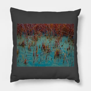 Rainbow cane Pillow