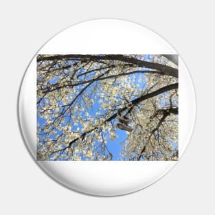 Brooklyn Blossoming Tree Pin