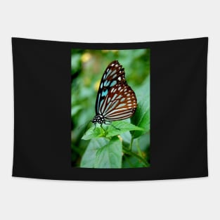 Black and Blue Butterfly Tapestry