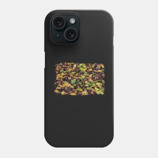 Autumn - colorful leaves Phone Case