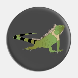 Reptile design, green iguana, wildlife gifts Pin