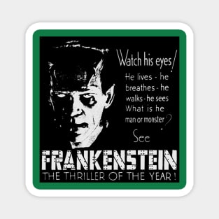 Frankenstein Magnet