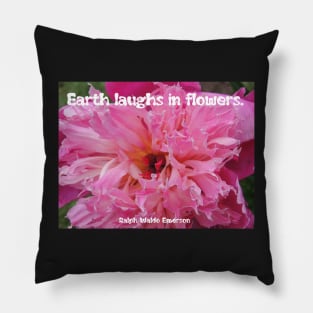 Pink Gaiety Pillow