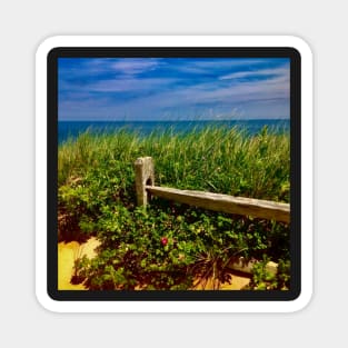 Magnificent Marconi beach, Cape Cod, MA. Magnet