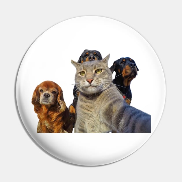 Dogs and cat take a selfie Pin by AbstractWorld