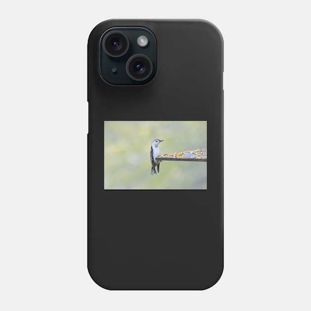 Nuthatch Phone Case by LaurieMinor