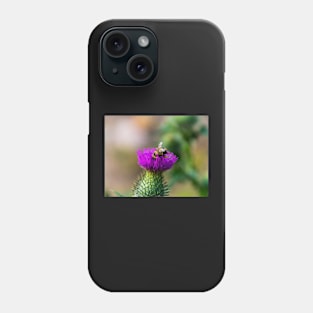 Foraging bee on a thistle bloom Phone Case