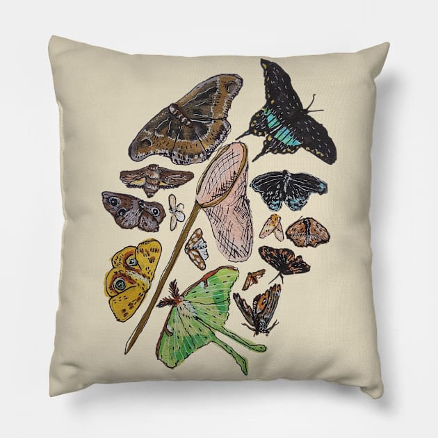 An Entomologist's Dream Pillow by Animal Surrealism