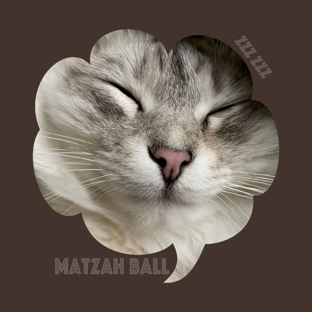 Matzah Ball Cat by WTK