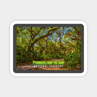 Cumberland Island National Seashore Magnet