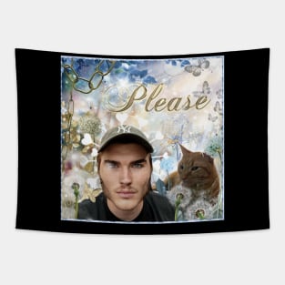 Jschlatt S'il Vous Plait Gif Toujours  Tapestry